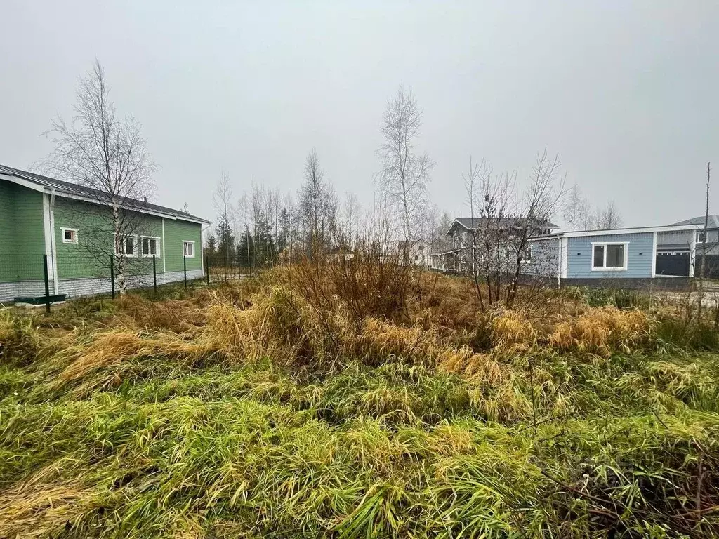 Участок в Ленинградская область, Всеволожский район, Агалатовское ... - Фото 0