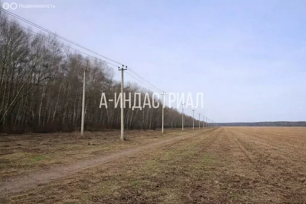 Склад (5 м) - Фото 1