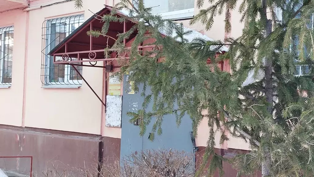 1-к кв. Омская область, Омск ул. 2-я Любинская, 11 (31.0 м) - Фото 2