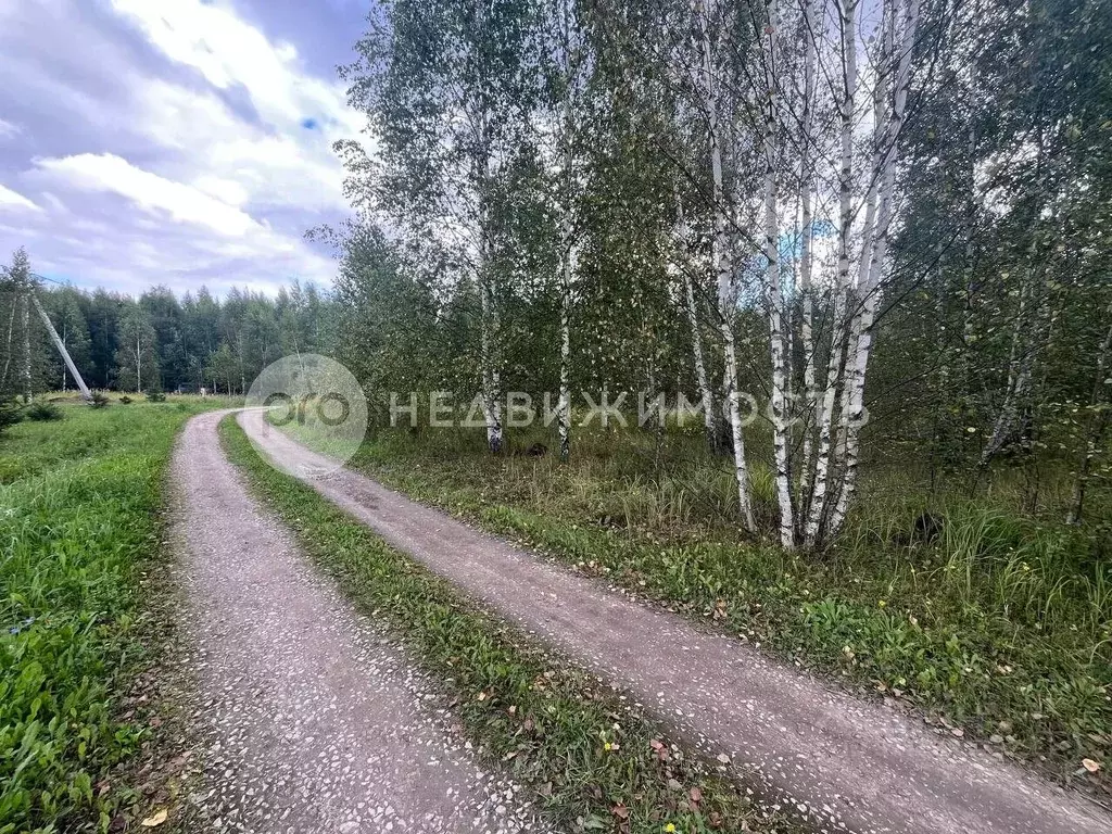 Участок в Рязанская область, Захаровский муниципальный округ, ... - Фото 0