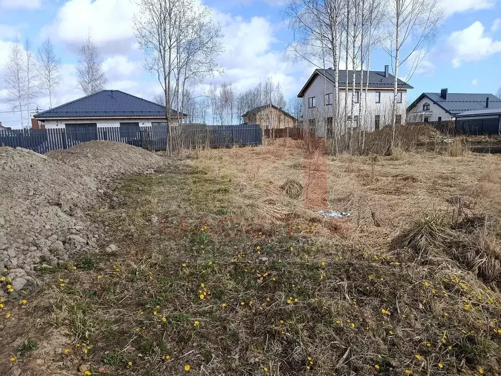 Участок в Ленинградская область, Ломоносовский район, Пениковское ... - Фото 1