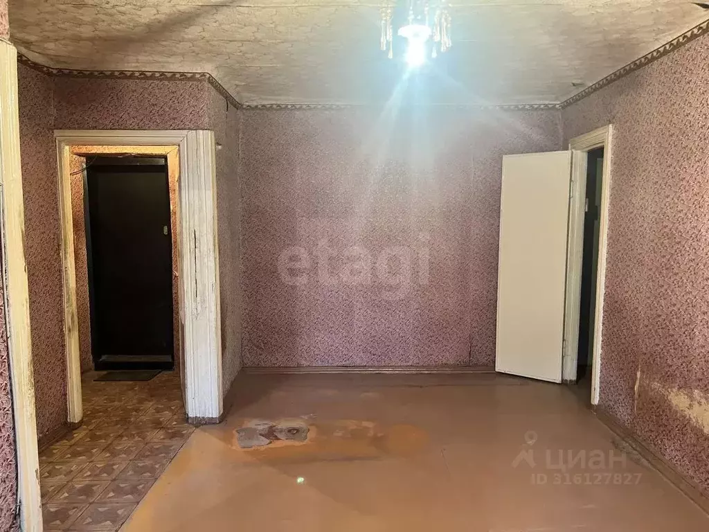 2-к кв. Брянская область, Брянск ул. Пушкина, 49 (40.7 м) - Фото 0