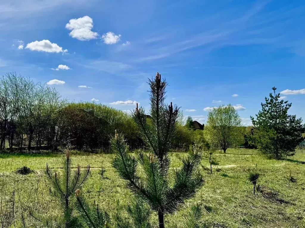 Участок в Московская область, Одинцовский городской округ, пос. ... - Фото 1