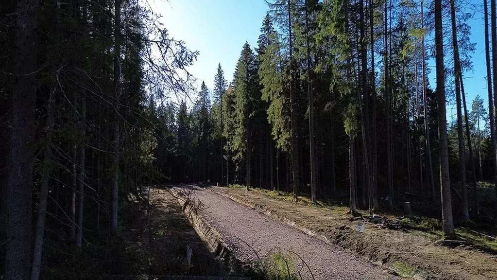 Участок в Ленинградская область, Выборгский район, Рощинское городское ... - Фото 1