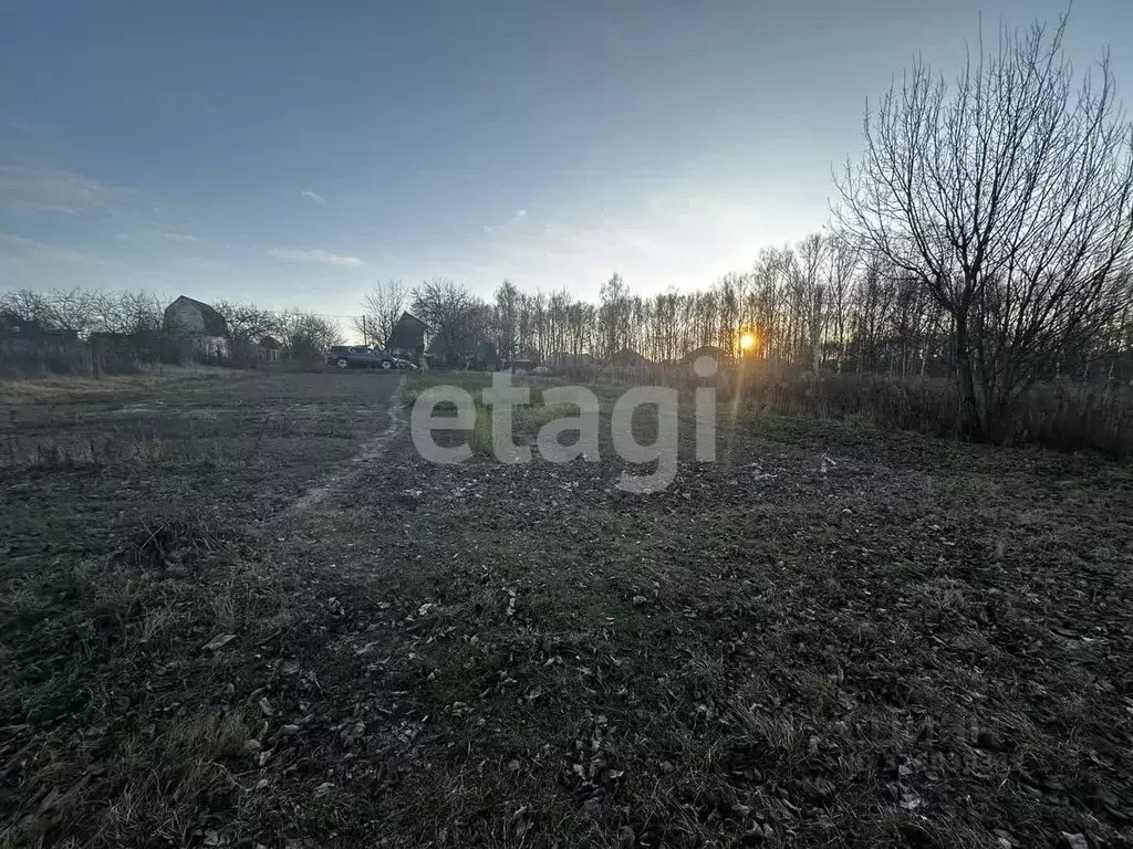 Участок в Брянская область, Брянский район, Снежское с/пос, с. ... - Фото 1