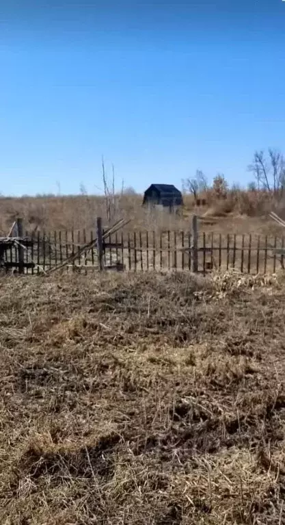 Участок в Амурская область, с. Тамбовка  (10.0 сот.) - Фото 0