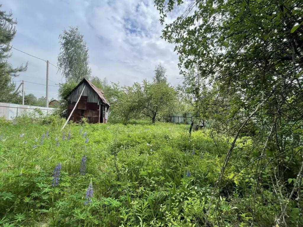 Участок в Московская область, Ивантеевка Пушкинский городской округ, ... - Фото 2