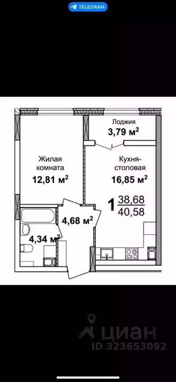 1-к кв. Нижегородская область, Нижний Новгород 2-я Оранжерейная ул., ... - Фото 1