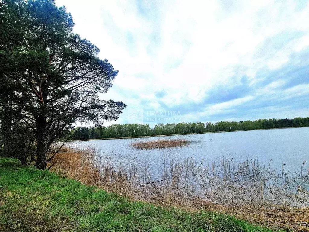 Дом в Московская область, Клин городской округ, д. Новоселки 228А (87 ... - Фото 2