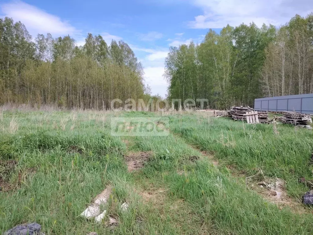 Участок в Тюменская область, Тюменский район, д. Елань ул. Тобольская ... - Фото 0