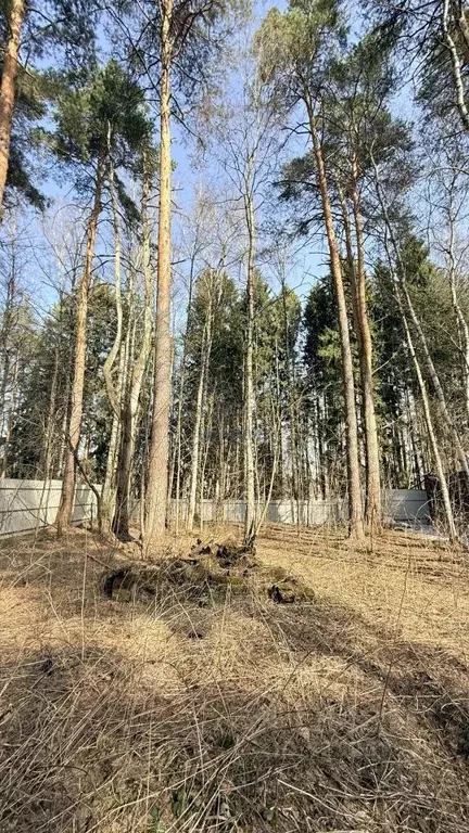 Участок в Московская область, Красногорск городской округ, пос. ... - Фото 2