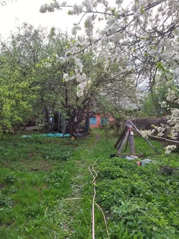 Участок в Нижегородская область, Нижний Новгород городской округ, д. ... - Фото 0