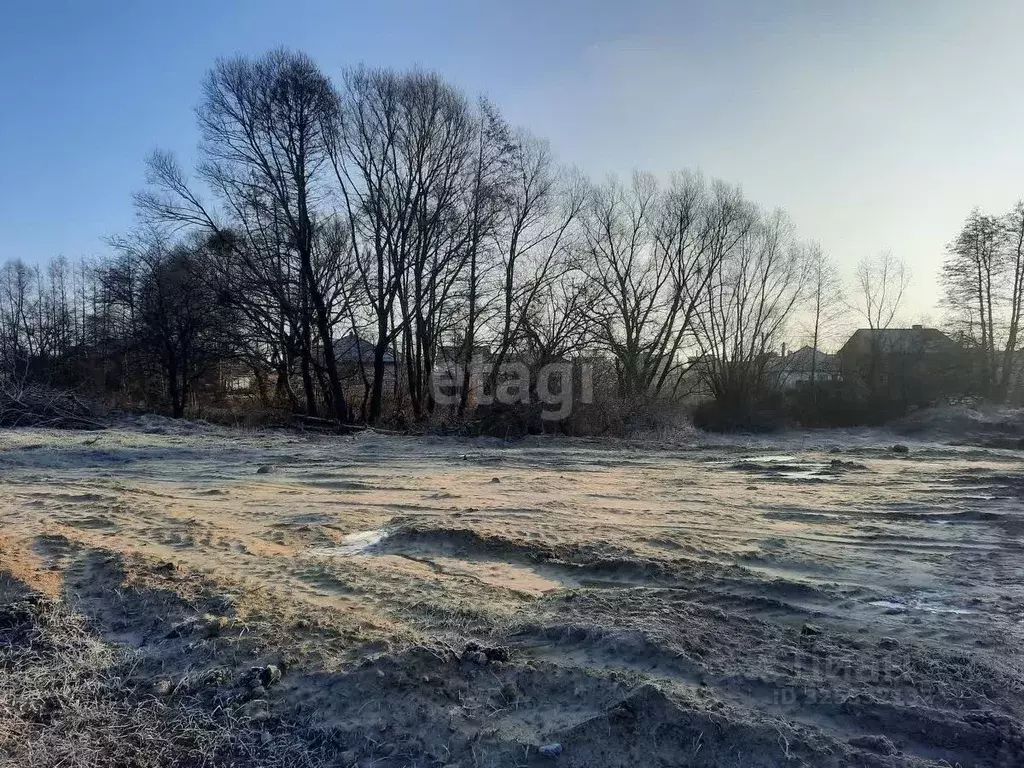 Участок в Калининградская область, Гурьевский муниципальный округ, ... - Фото 1