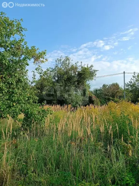 Участок в Тульская область, городской округ Тула, деревня Струково (13 ... - Фото 1