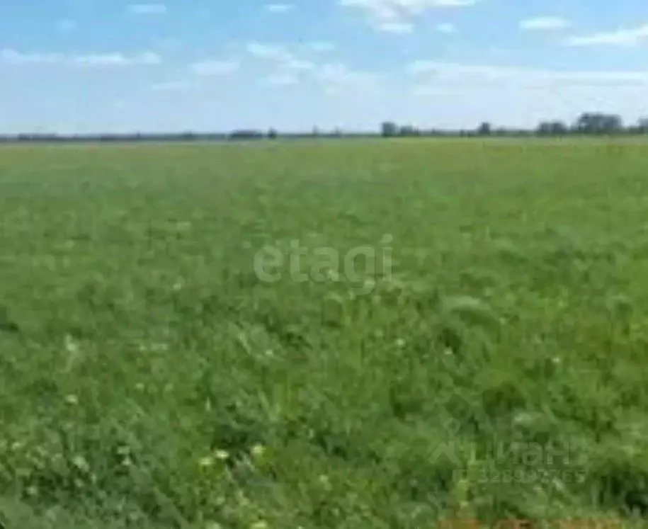 Участок в Липецкая область, Грязинский муниципальный округ, с. ... - Фото 2