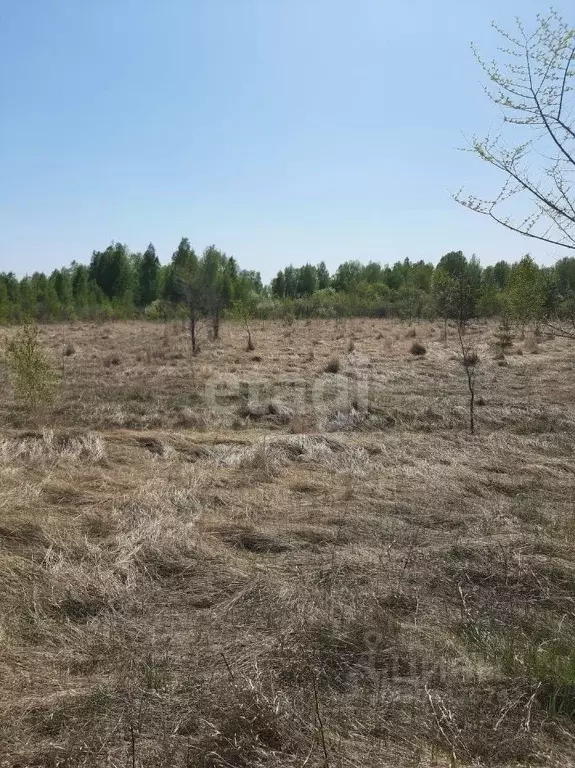 Участок в Курганская область, Шадринск Тюменская ул. (10.3 сот.) - Фото 0