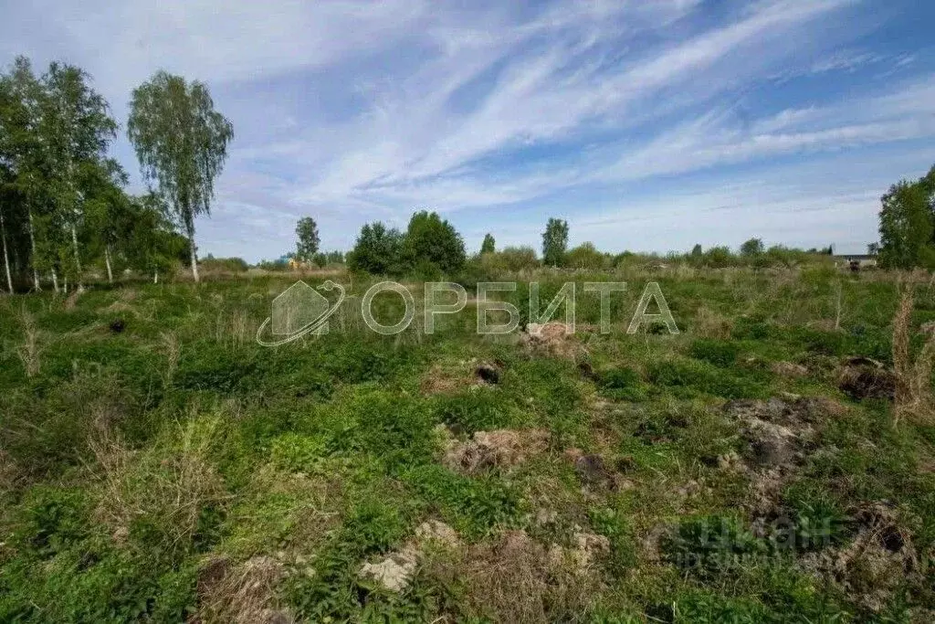 Участок в Тюменская область, Нижнетавдинский район, Сотовик садовое ... - Фото 1