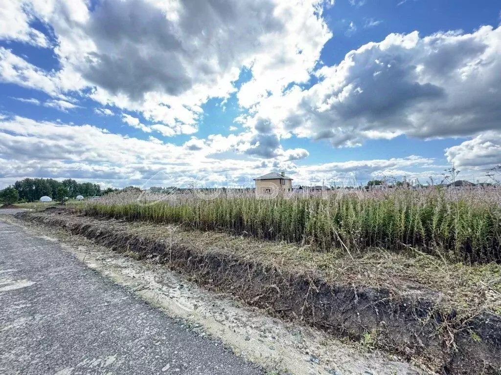 Участок в Тюменская область, Тюменский муниципальный округ, Онегин кп  ... - Фото 2