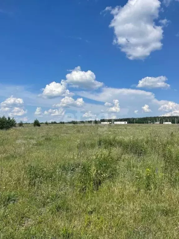 Участок в Белгородская область, Старооскольский городской округ, с. ... - Фото 1