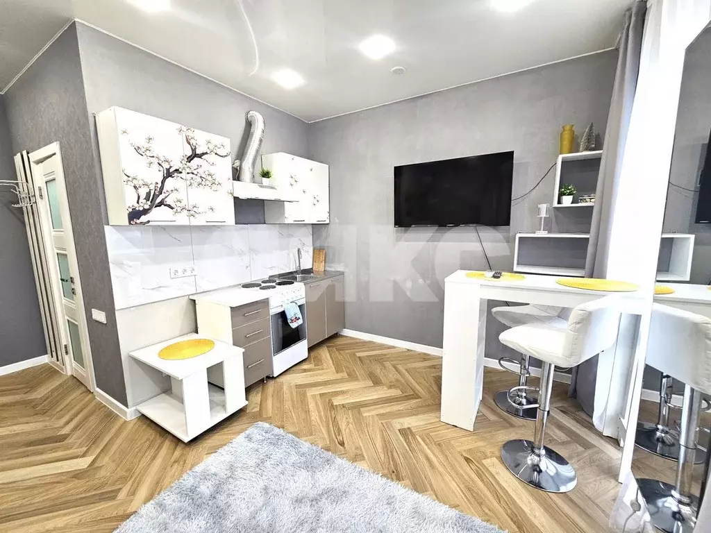 Студия Краснодарский край, Сочи ул. Ленина, 298В/1 (21.8 м) - Фото 2