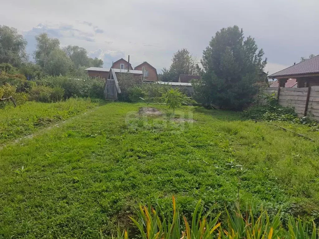 Участок в Новосибирская область, Новосибирск Садоводческого ... - Фото 1