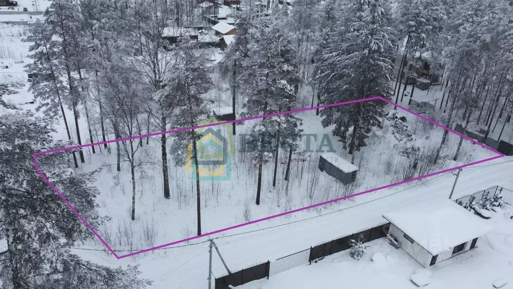 Участок в Ленинградская область, Всеволожский район, Токсовское ... - Фото 1