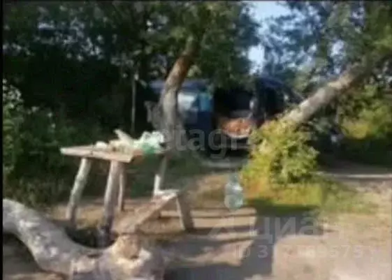 Участок в Саратовская область, с. Рыбушка  (790.0 сот.) - Фото 1