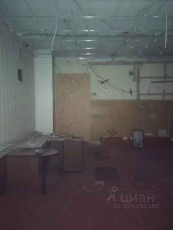 Помещение свободного назначения в Омская область, Омск ул. 2-я ... - Фото 2