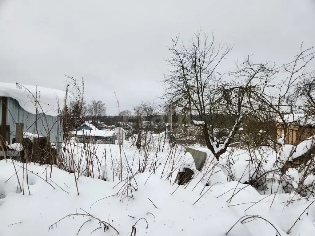 Участок в Костромская область, Кострома Мичуринец садоводческое ... - Фото 1