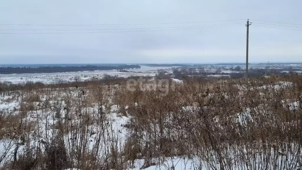 Участок в Владимирская область, Муромский район, Ковардицкое ... - Фото 0