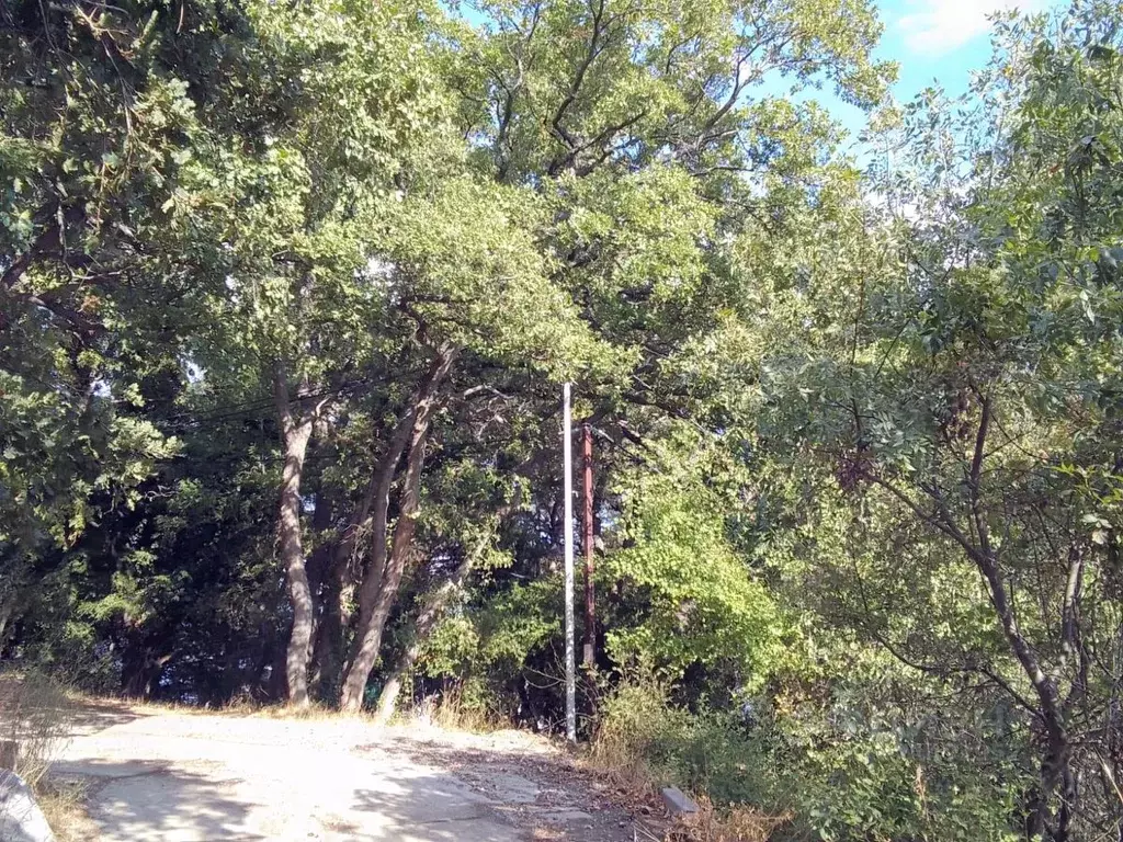 Участок в Крым, Алупка ш. Южнобережное, 16Б (6.0 сот.) - Фото 2