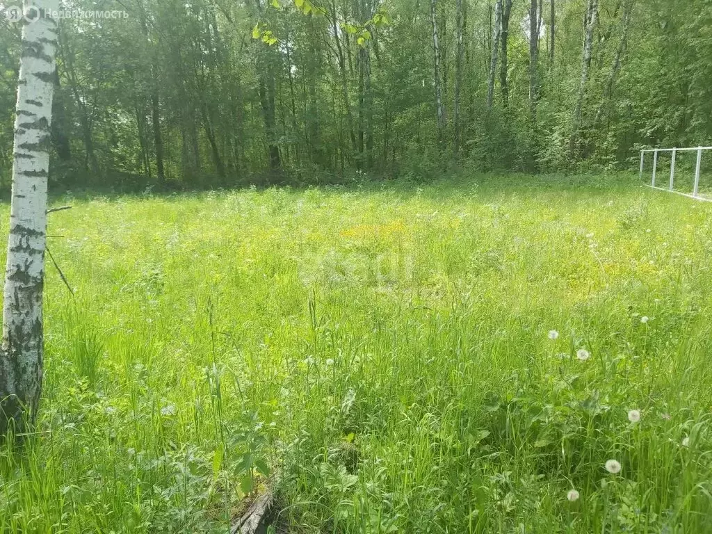 Участок в Московская область, городской округ Лосино-Петровский, ... - Фото 1
