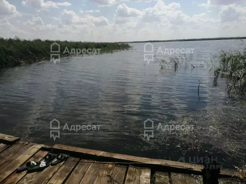 Дом в Волгоградская область, Волгоград Малинка СНТ,  (20 м) - Фото 1