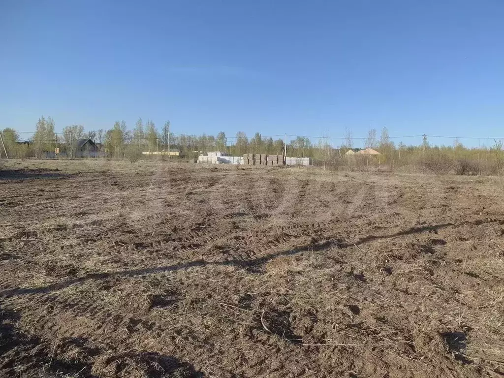 Участок 12 сот. (СНТ, ДНП) - Фото 0