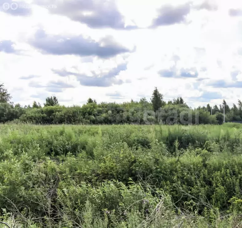 Участок в Тюмень, садовое товарищество Россиянка, Вишнёвая улица (4.7 ... - Фото 2