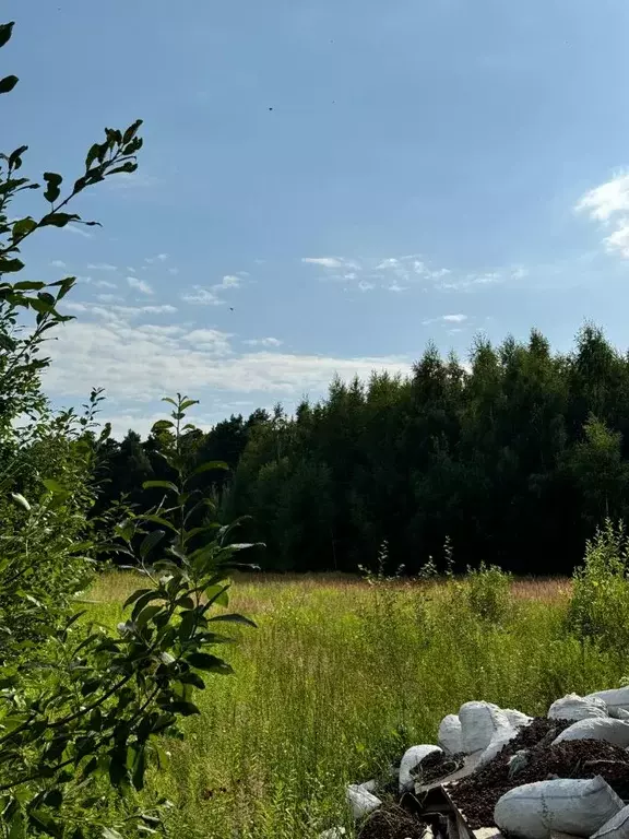 Участок в Московская область, Одинцовский городской округ, с. ... - Фото 1