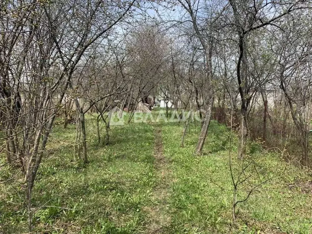 Участок в Нижегородская область, Кстовский муниципальный округ, с. ... - Фото 0