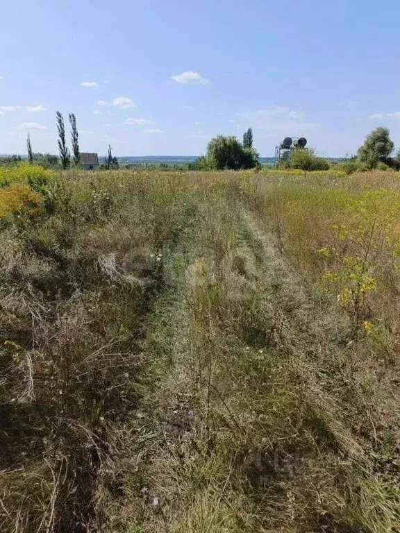 Участок в Воронежская область, Новоусманский район, с. Бабяково  ... - Фото 1