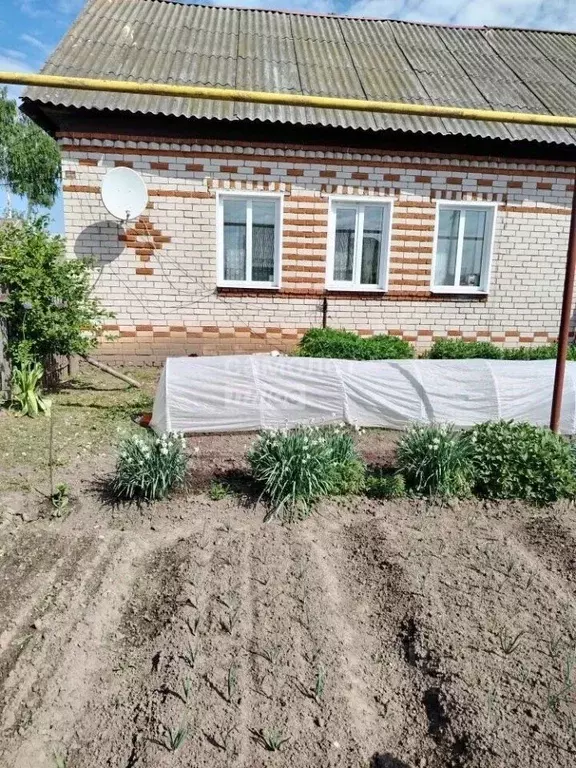 Дом в Марий Эл, Параньгинский район, с. Куракино Новая ул., 10 (61 м) - Фото 1