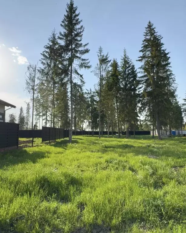 Участок в Московская область, Клин городской округ, Ели Эстейт ... - Фото 1