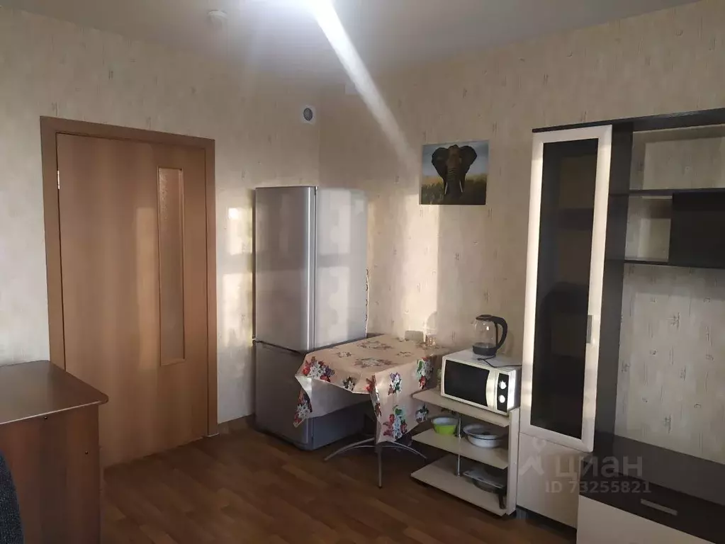 Студия Красноярский край, Красноярск ул. Петра Подзолкова, 5А (25.9 м) - Фото 0