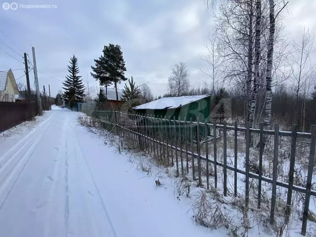 Участок в Тюмень, территория СОСН Подмосковье (5.9 м) - Фото 1