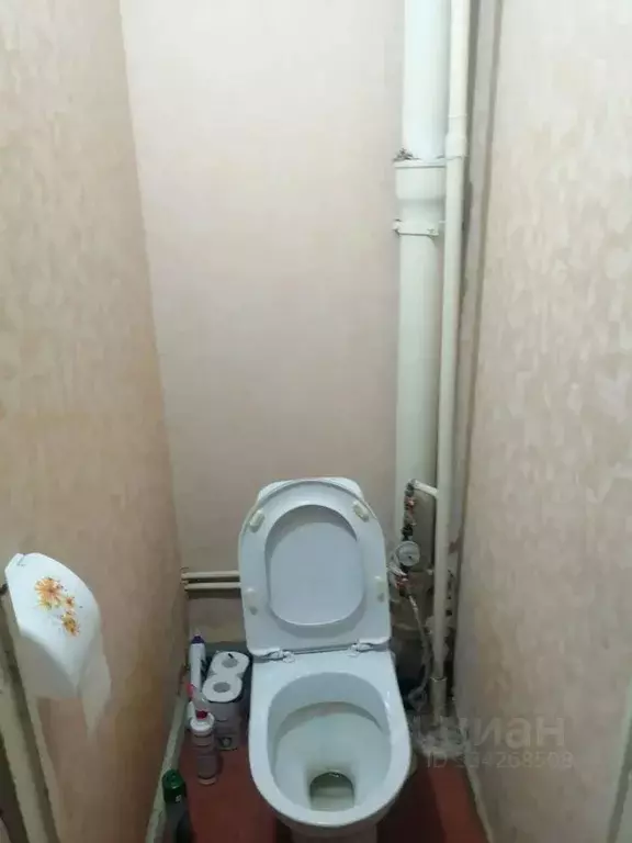 1-к кв. Ленинградская область, Тосно г. Тосненский район, Тосненское ... - Фото 2