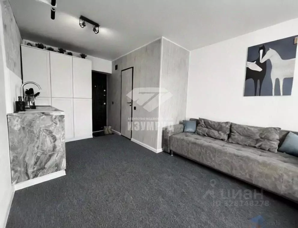 Студия Кемеровская область, Кемерово Мирная ул., 8 (18.3 м) - Фото 2