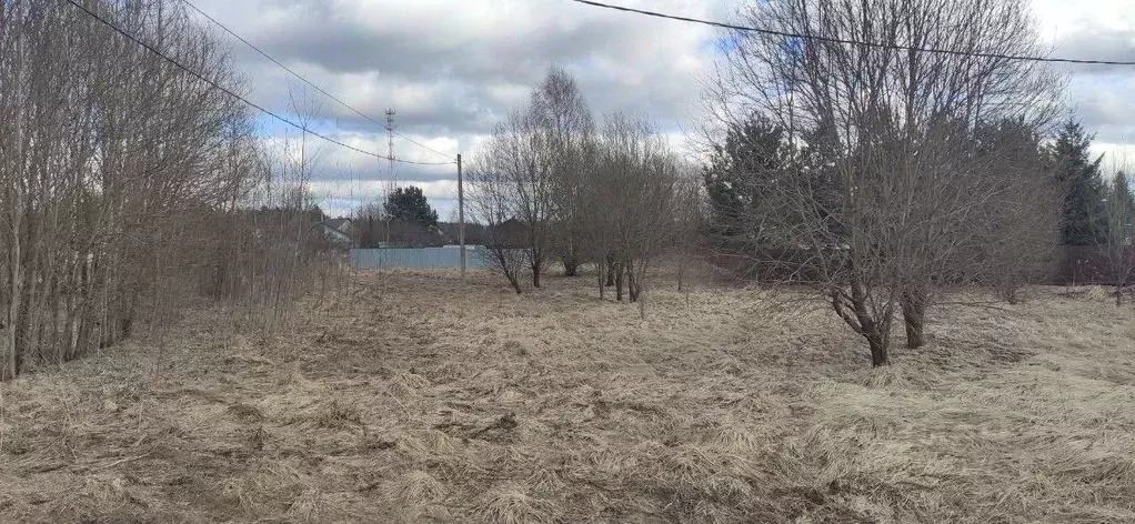 Участок в Московская область, Талдомский городской округ, д. Растовцы  ... - Фото 0