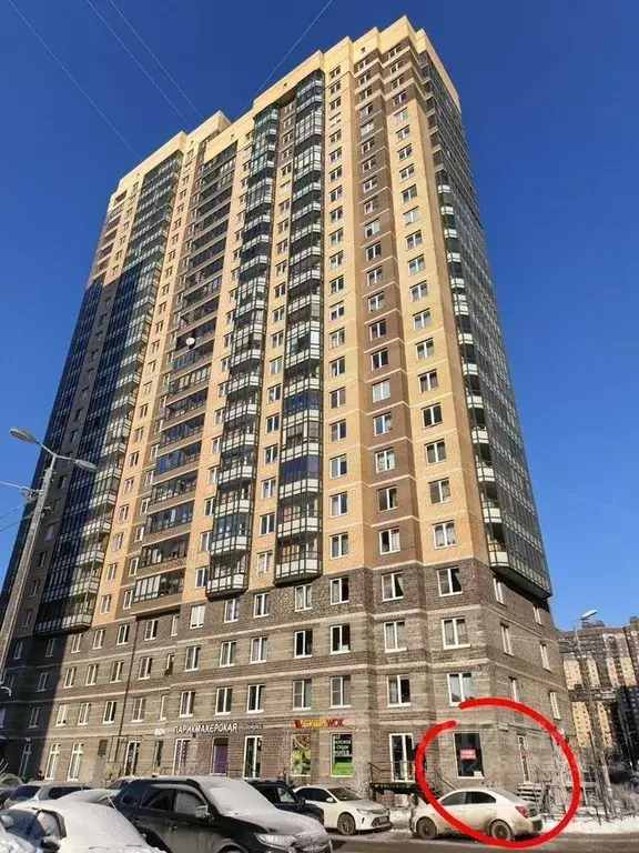 Помещение свободного назначения в Санкт-Петербург пос. Парголово, ул. ... - Фото 1