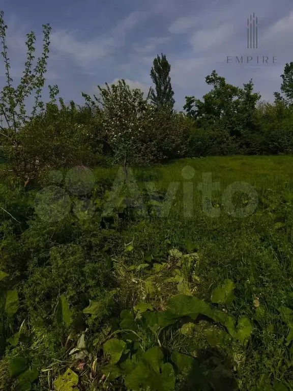 Участок 12 сот. (СНТ, ДНП) - Фото 1
