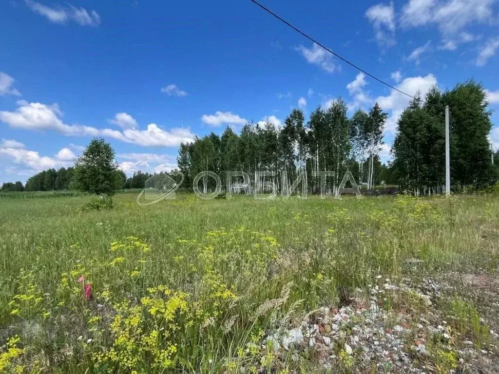 Участок в Тюменская область, Нижнетавдинский муниципальный округ, ... - Фото 2