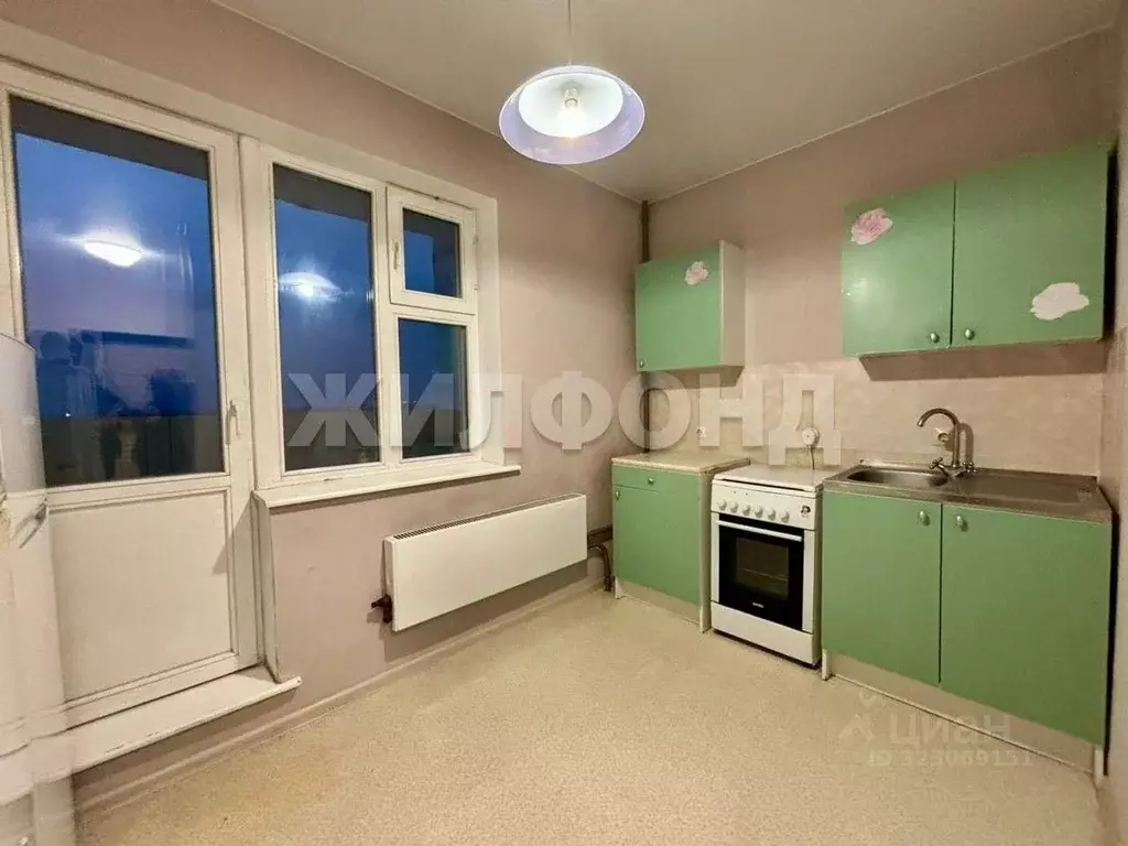 1-к кв. Новосибирская область, Новосибирск ул. Фадеева, 66 (30.2 м) - Фото 1