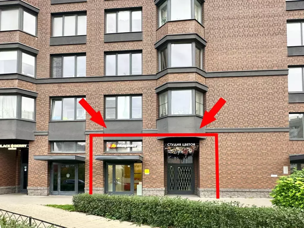 Помещение свободного назначения в Санкт-Петербург Малая Бухарестская ... - Фото 2